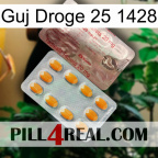 Guj Drug 25 1428 new13